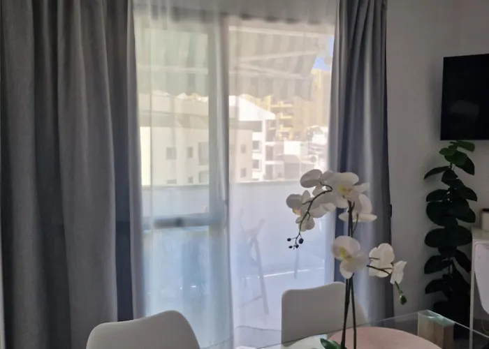 Duplex Penthouse Cristianos *